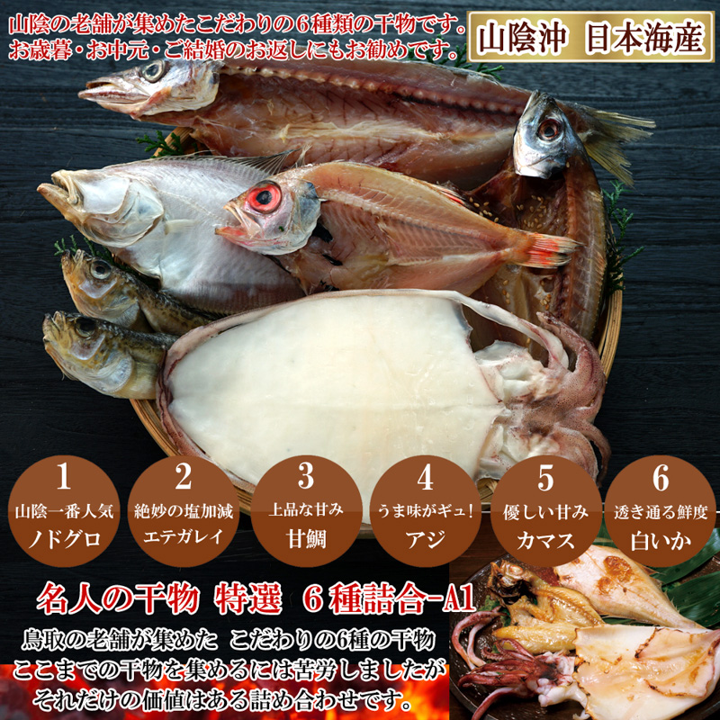 山陰沖 日本海産 名人の干物6種詰合-A1