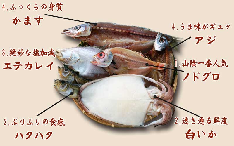 山陰沖 日本海産 名人の干物6種詰合-A3