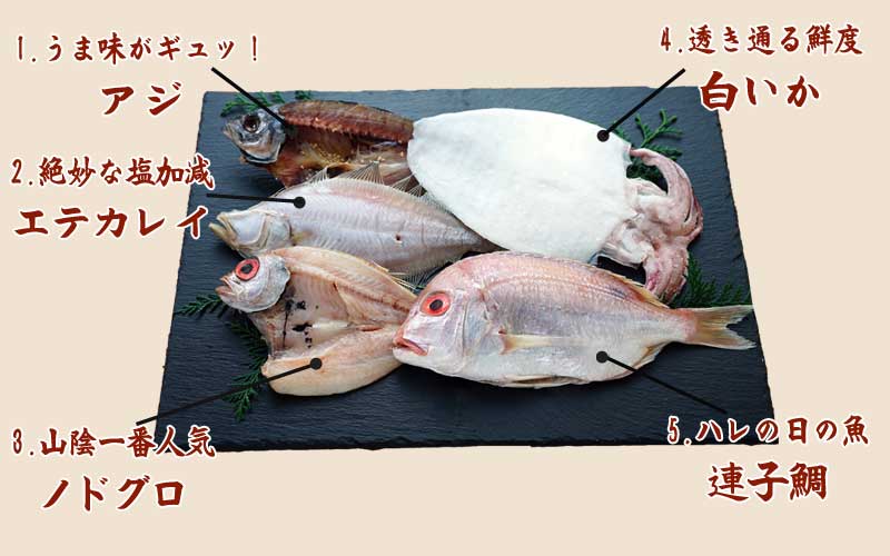 山陰沖 日本海産 名人の干物5種詰合-B1