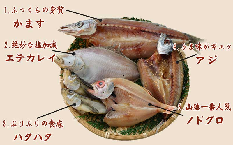 山陰沖 日本海産 名人の干物5種詰合-A1
