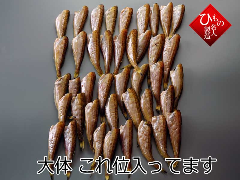 はたはたヘッドレス(無頭)