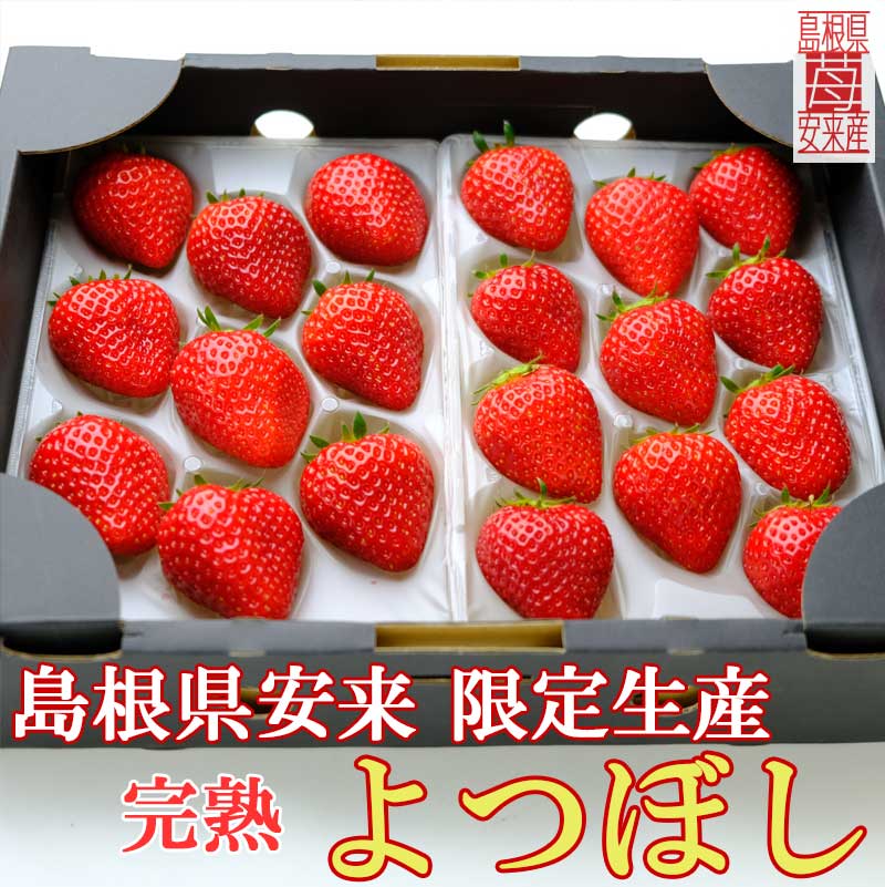 よつぼしのメイン