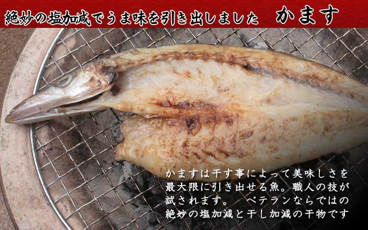 山陰沖日本海産_かます_説明入り