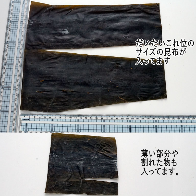 昆布の長さ