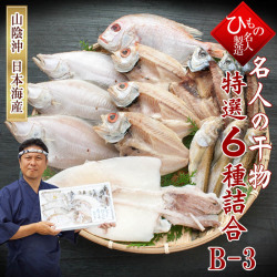 名人の干物6種-B