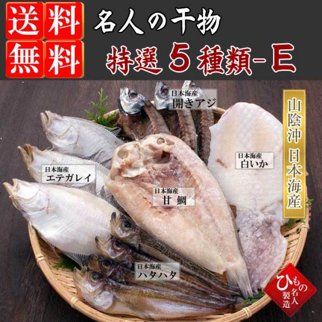 5種-E