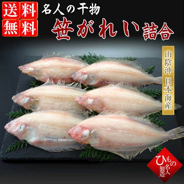 笹がれい
