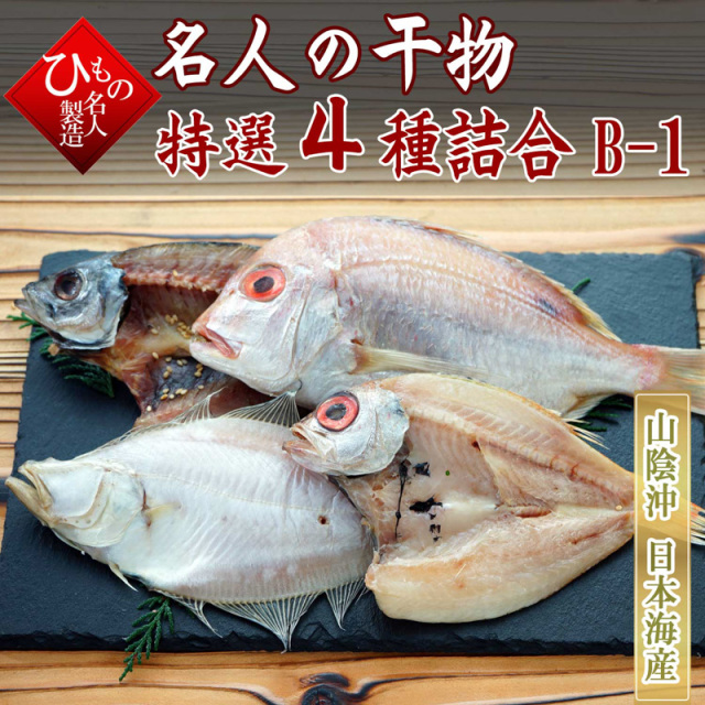 4種B-1