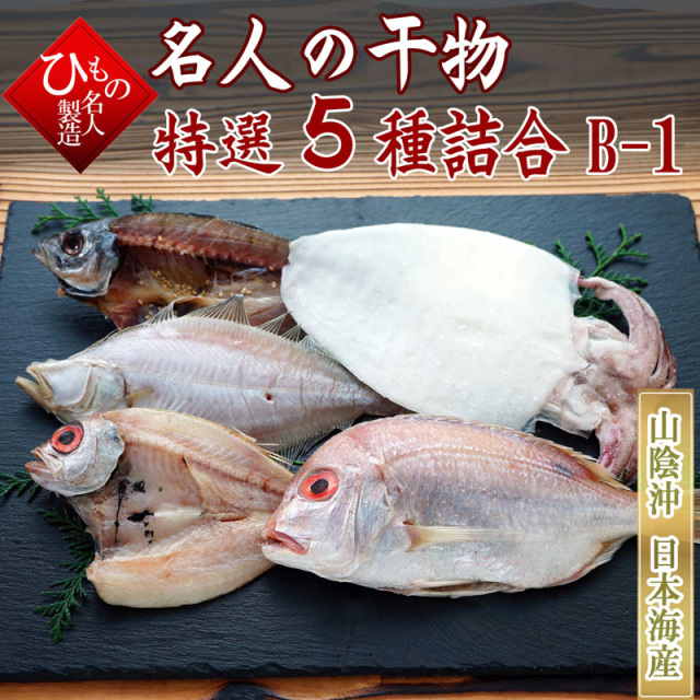5種B-1