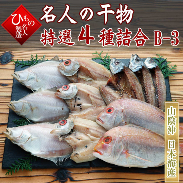 4種B-3