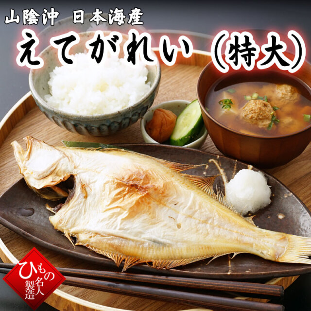 えてがれい　エテガレイ　特大