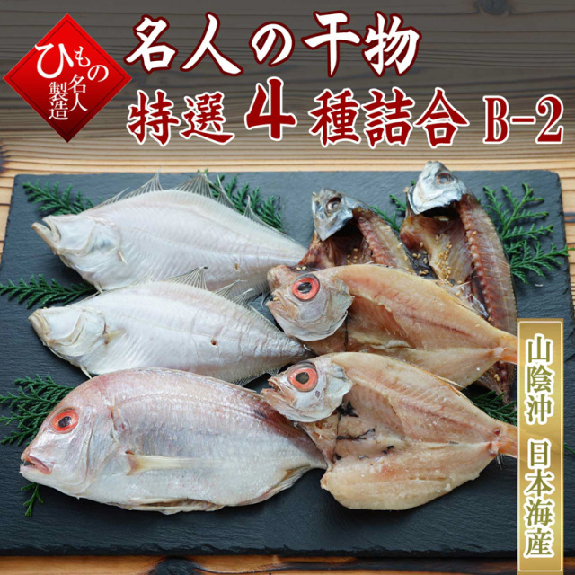 4種B-2