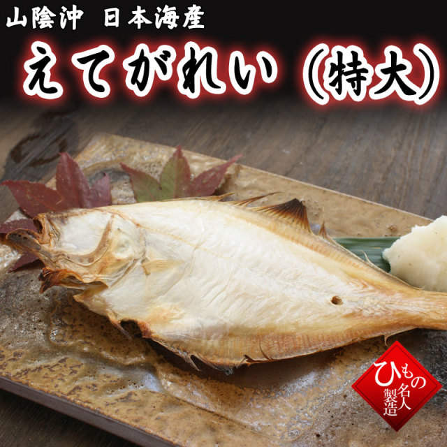 特大 えてがれい エテガレイ