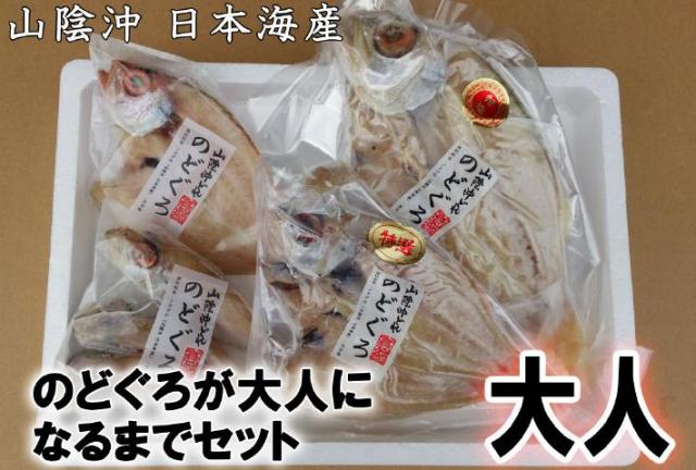 のどぐろ大人になるまでセット　大人_４