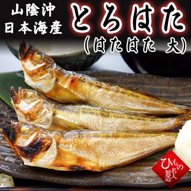 トロハタ とろはた