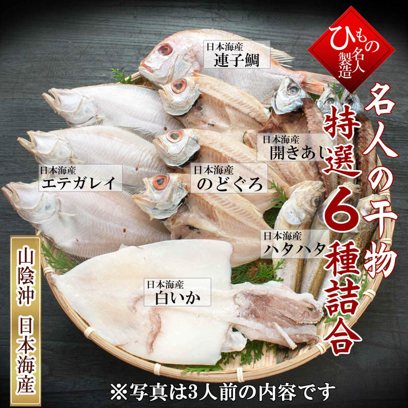 山陰沖 日本海産 名人の干物 祝-7尾