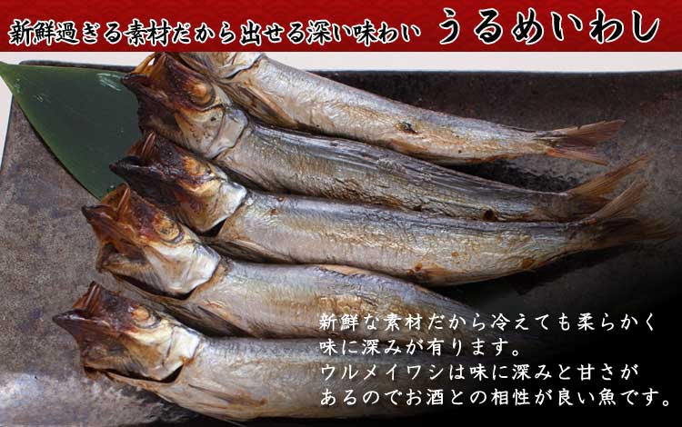 山陰沖日本海産_うるめいわし_説明入り