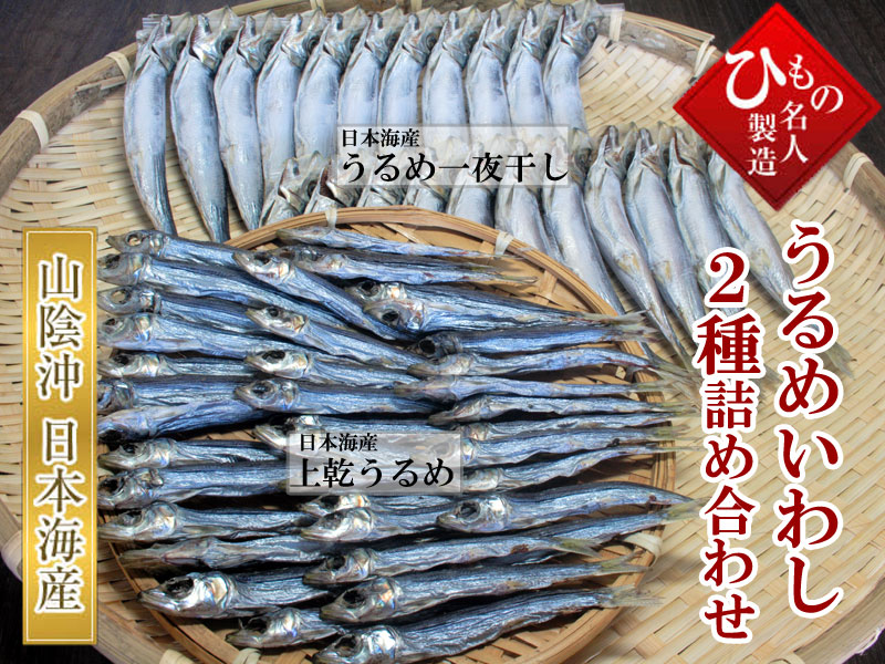山陰沖 日本海産、うるめいわし2種詰め合わせ