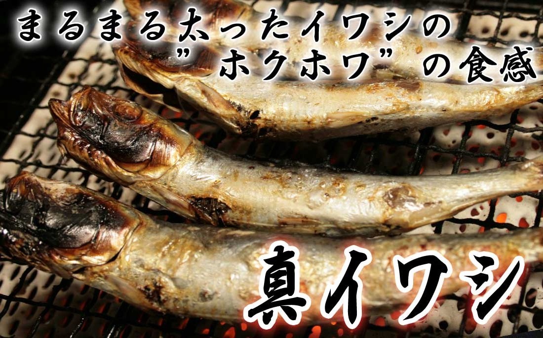 日本最安の出世魚