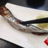 お作法通りに魚を食べる－真イワシ編